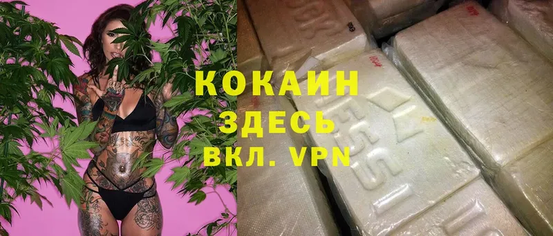 hydra вход  как найти наркотики  Ноябрьск  Cocaine FishScale 